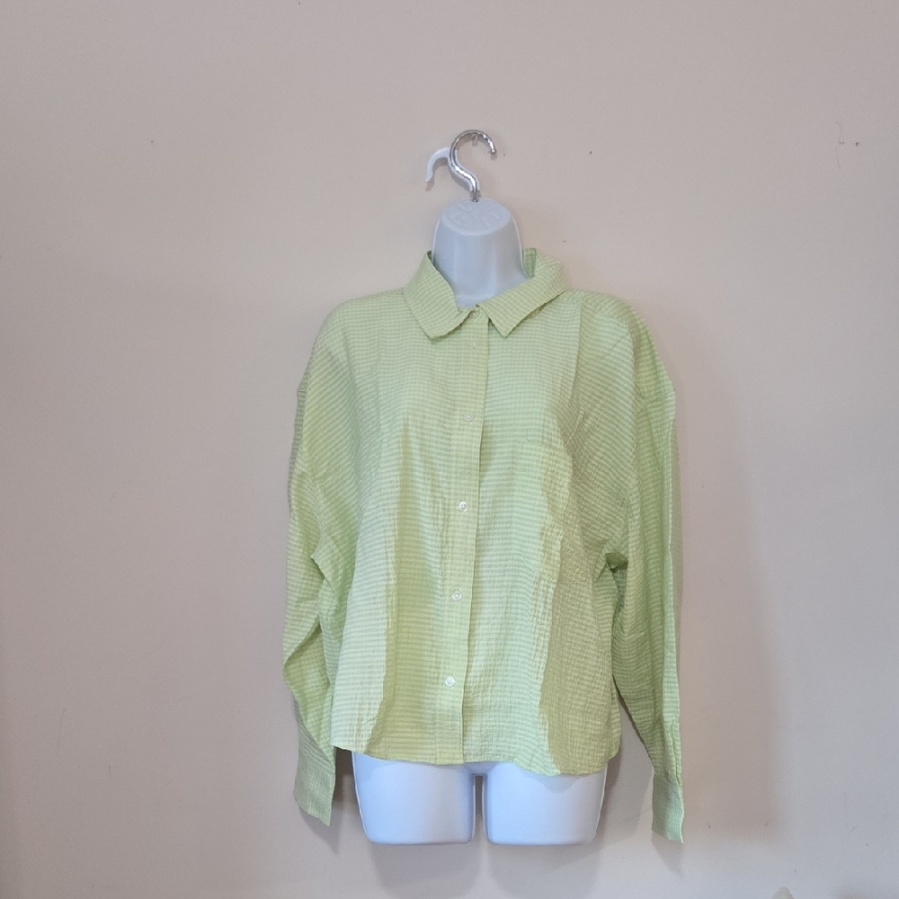 Banana Republic Pale Green Gingham Shirt